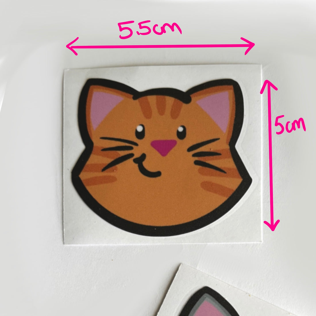 Kitten Face Stickers