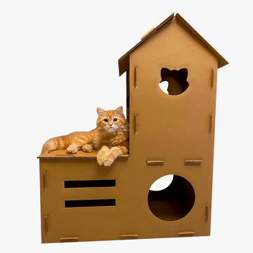 The Catkit Playhouse